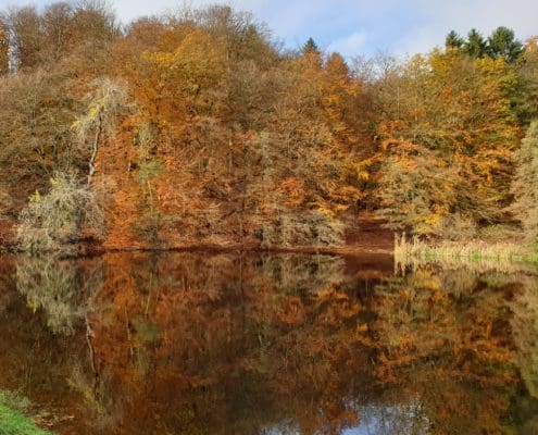Herbststimmung