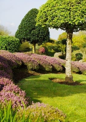 Mein schöner Garten